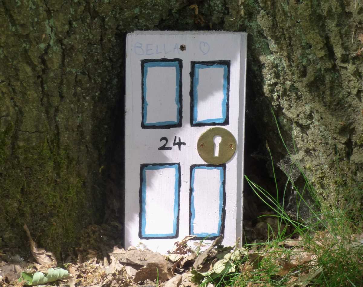 Rainbow doors at the Warley Woods (June 2020)
